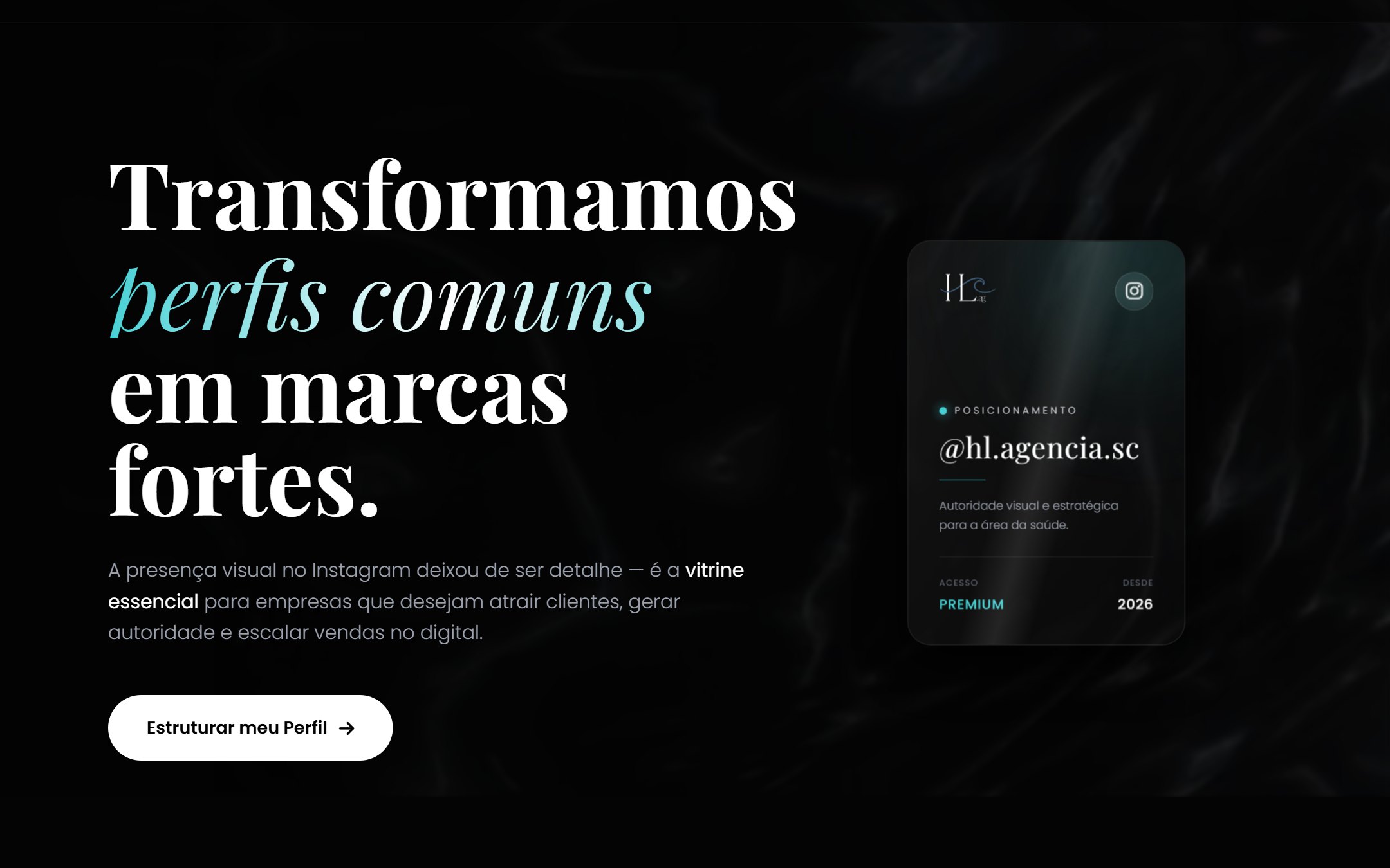 Site da agência HL Design